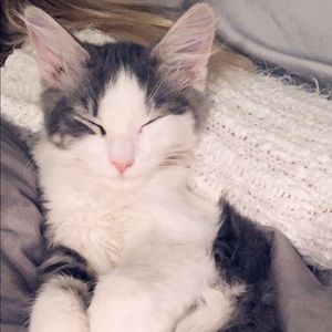 Meet your Posher, Alyssa